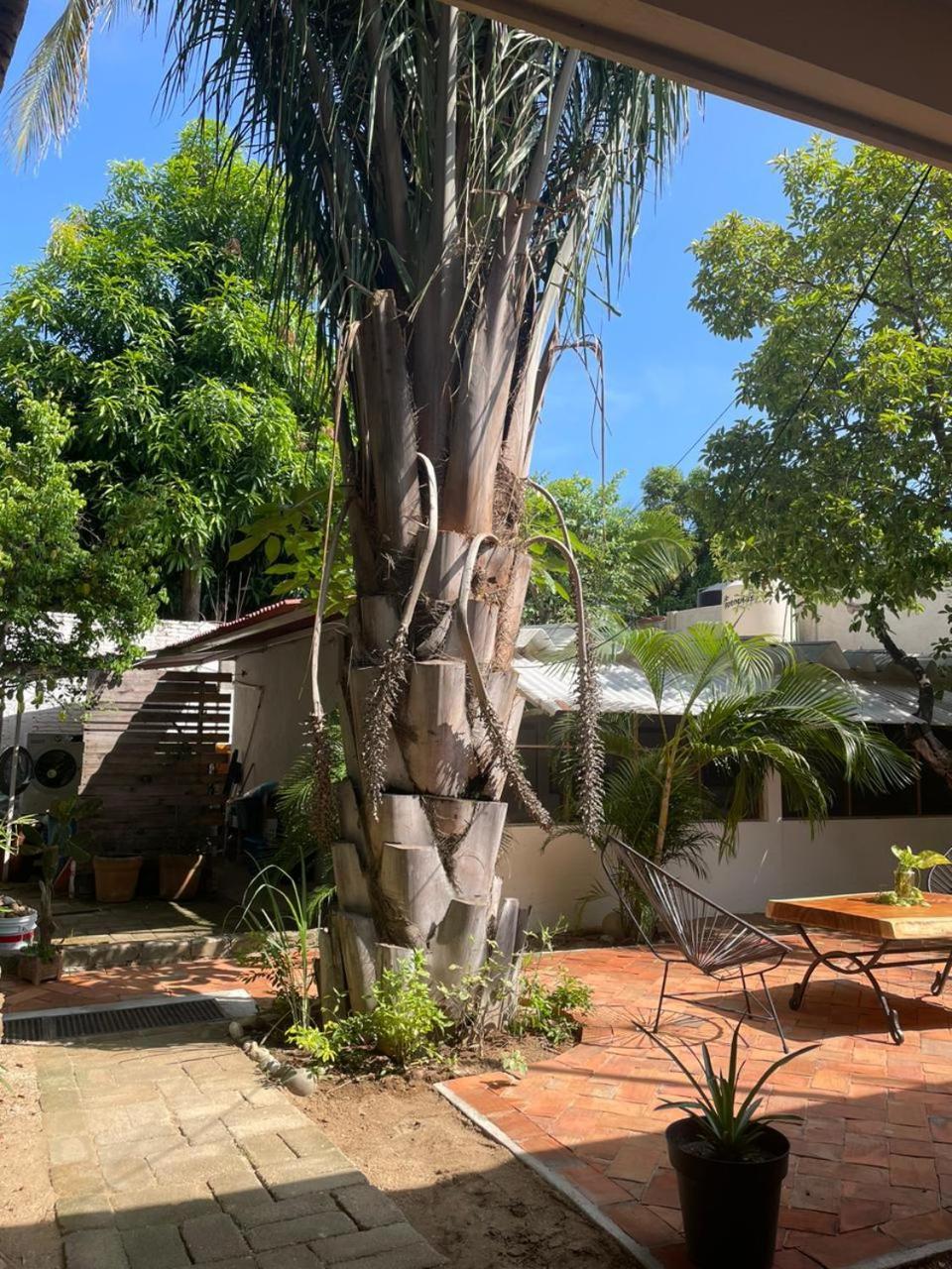 Casa Sixta A 7Min Del Aeropuerto Internacional Pmx Y 2 Cuadras Terminal Autob Ado Hotel Puerto Escondido  Eksteriør billede